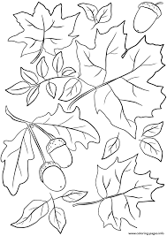 Kids will have so much fun collecting and coloring leaves. Autumn Leaves And Acorns Fall Coloring Pages Printable