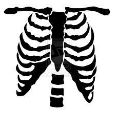 Dog Skeleton Creative Costumes Art