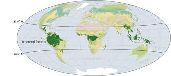 The division left tropical rainforests located in five major regions of the world: Tropical Deforestation