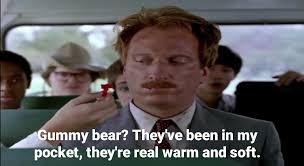 Den här gosedjursbjörnen i kvartsstorlek fick mig att tänka på det här  citatet från Ferris Buellers lediga dag, så jag var tvungen att göra en  bandana till min hund : r/Embroidery