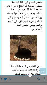 حكيم نيويورك On Twitter Mind0 0 Youssufw ثم هل التفسير منزل من عند الله أم هو إجتهاد بشري ونعم دحا من معانيها البسط هذه لغتنا العربية الثرية يا هذا
