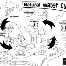 Water cycle coloring pages for preschoolers. Natural Water Cycle Colouring Sheet South East Water Education