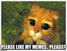 To legendary meme status, baby yoda ascended has. Shrek Cat Meme Imgflip
