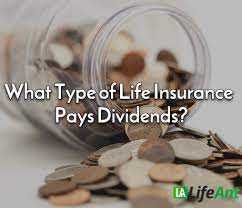 The prudential insurance company of america pays dividends so that policyowners like you can benefit from the favorable experience of our participating individual life business. What Type Of Life Insurance Pays Dividends Dividend Payments Faq