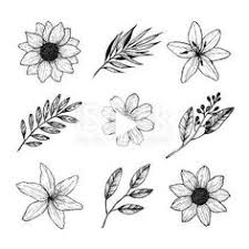 The most important — most valuable player — is led by lebron james, giannis antetokounmpo and james harden. Martina Miklosova Tinadrugdova Profil Pinterest