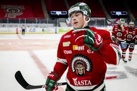 Lucas raymond does not have any nhl stats. Lucas Raymond Prospect Profile Red Wings Pipeline