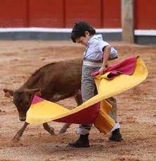 El Mundo De Los Toros Fighter Bull Photo