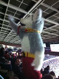 Head + body + shoes + hand. Harvey The Hound Calgary Flames Mascot