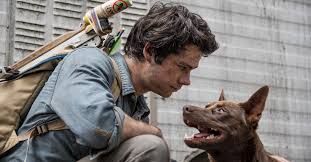 Netflix original movies confirmed for 2021 (with release dates). Love And Monsters Auf Netflix Alles Zu Start Handlung Cast Und Teil 2