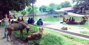 Scopri ricette, idee per la casa, consigli di stile e altre idee da provare. Taman Balekambang Fasilitas Rute Jam Buka Harga Tiket Dan Daya Tarik Tempat Me