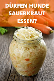 Sauerkraut Fur Hunde Roh Oder Gekocht Gegen Fremdkorper Im Darm Sauerkraut Einmachrezepte Fermentierte Lebensmittel
