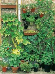 Growveg Com On Twitter Terrace Vegetable Garden Vertical Vegetable Gardens Vertical Garden Diy
