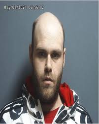 Greene County Jail Log