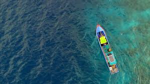 Layanan manajemen utang untuk meringankan utang anda. Demi Mimpi Anak Nelayan Anambas Labuhkan Asa Di Laut China Selatan