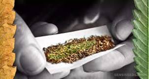 What Are the Effects of Mixing Nicotine and Cannabis? - Sensi ...