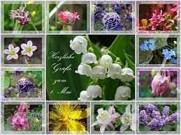 Check spelling or type a new query. Wunsche Allen Einen Schonen 1 Mai Und Sr S Spruchekiste Facebook