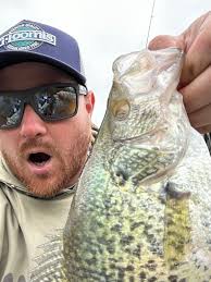 The southern slab crappie rig pulled em' in today!