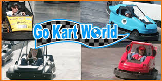 Voice Daily Deals 20 All Day Pass At Go Kart World 45 Value