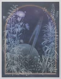 Bildergebnis für Theodora Allen