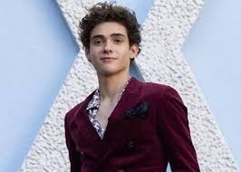 Bassett (born december 22, 2000) is an american actor and singer. Joshua Bassett Height Weight Age Girlfriend Biography More