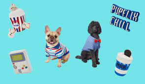 The puppies are available for adoption at noon at the south los angeles shelter located at 1850 west 60th street. National Puppy Day 2021 Deals From Amazon Chewy Petco Petsmart Walmart More Nj Com