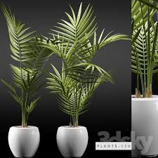 230 Plant 230 3dsmax Model Free Download Kiến Truc
