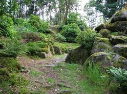 May 4 Greenery Day In Japan Greenery Day Holidays Around The World Holidays In May