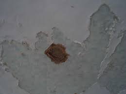 Check spelling or type a new query. Free Download Repainting Problems After Removing Wallpaper The Home Depot 999x750 For Your Desktop Mobile Tablet Explore 50 Paint Walls After Removing Wallpaper Can I Paint Over Wallpaper Diy