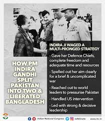 Image result for Gray 1971 Fleet