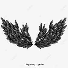 أجنحة الصور صور clipart أجنحة الملاك ريشة png وملف psd للتحميل مجانا wings photo animals