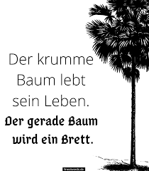 51 Lebensmotto Spruche Finestwords De Lebensmotto Spruche Spruche Lustige Zitate Und Spruche