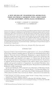 Image result for Triainolepis africana