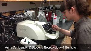 May Lab Spotlight: Roseberry Lab