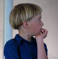 Blond Haired Amish Boy Amish Quilts Amish Boy Hairstyles