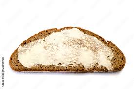 Stock-Foto „Butterbrot auf weißen Hintergrund“ | Adobe Stock