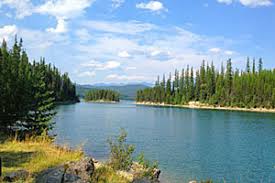 Campgrounds outside glacier national park. Logging Creek Campground Glacier National Park Alltrips