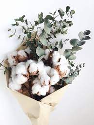 Les Anniversaires De Mariage Quel Cadeau Offrir Pour Quelles Noces Bouquet De Coton Anniversaire De Mariage 1 An Anniversaire De Mariage