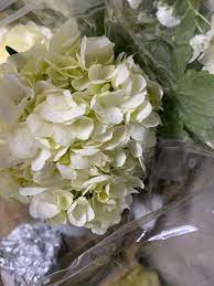 Top selling flowers in savannah, ga. Johnson S Wholesale Florist Home Facebook