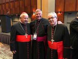 He was created a cardinal in 2006. Cardinal Dziwisz To Attend Cathedral Dedication East Tennessee Catholic