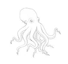 How To Draw An Octopus Step By Step Then, the artist fills in the outline with a gray copic marker—giving it a. how to draw an octopus step by step