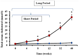 If you can get your ratio down between 2.4 and 2.8, you can actually experience a reversal of heart. Ijms Free Full Text Adverse Impact Of Diet Induced Hypercholesterolemia On Cardiovascular Tissue Homeostasis In A Rabbit Model Time Dependent Changes In Cardiac Parameters Html