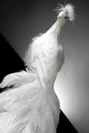 Bird With Big Feathers On Tail White Peacock 27 Long White Peacock Peacock Decor Artificial Birds