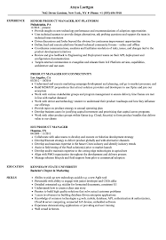 The user can add details of his strengths, professional experience, core skills, and educational background. Product Manager Iot Resume Samples Velvet Jobs