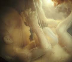 17 weeks pregnant belly pictures showing. Parentune 17 Weeks And 2 Days Pregnant Baby Fetal Progress Ultrasound Nutrition Tips And Advice