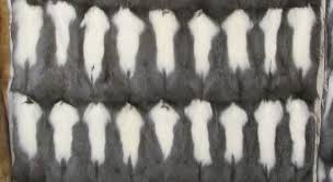 You can use this swimming information to make your own swimming trivia questions. Vair Is Fur Obtained From Which Animal Trivia Questions Quizzclub