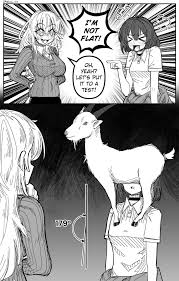 Has flat vs round boobs ever been an actual competition woman-only friend  groups, or is anime just stupid? : rTrollXChromosomes