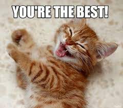 Still, if you're at a loss as to what to watch tonight, the handforth parish council meeting is on youtube in its entirety and runs to a tight 90 minutes. Meme Maker You Re The Best Meme Generator