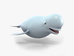 Cartoon Beluga Whale 3d Model Beluga Whale Whale Beluga
