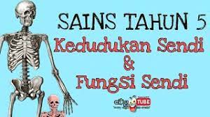 Untuk lebih jelasnya, mari simak demikianlah penjelasan mengenai pengertian sendi, struktur, komponen, fungsi, proses. Kedudukan Sendi Fungsi Sendi Sains Tahun 5 Unit 2 Kssr 2021 Youtube