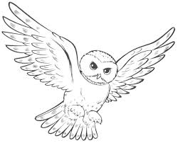 Owl coloring pages for kids to print and color. Flying Owl Coloring Pages Coloring Home